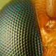 Image for article titled The year's strangest, most beautiful visions of the microverse